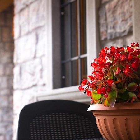 B&B San Pellegrino Terme Zogno Ngoại thất bức ảnh