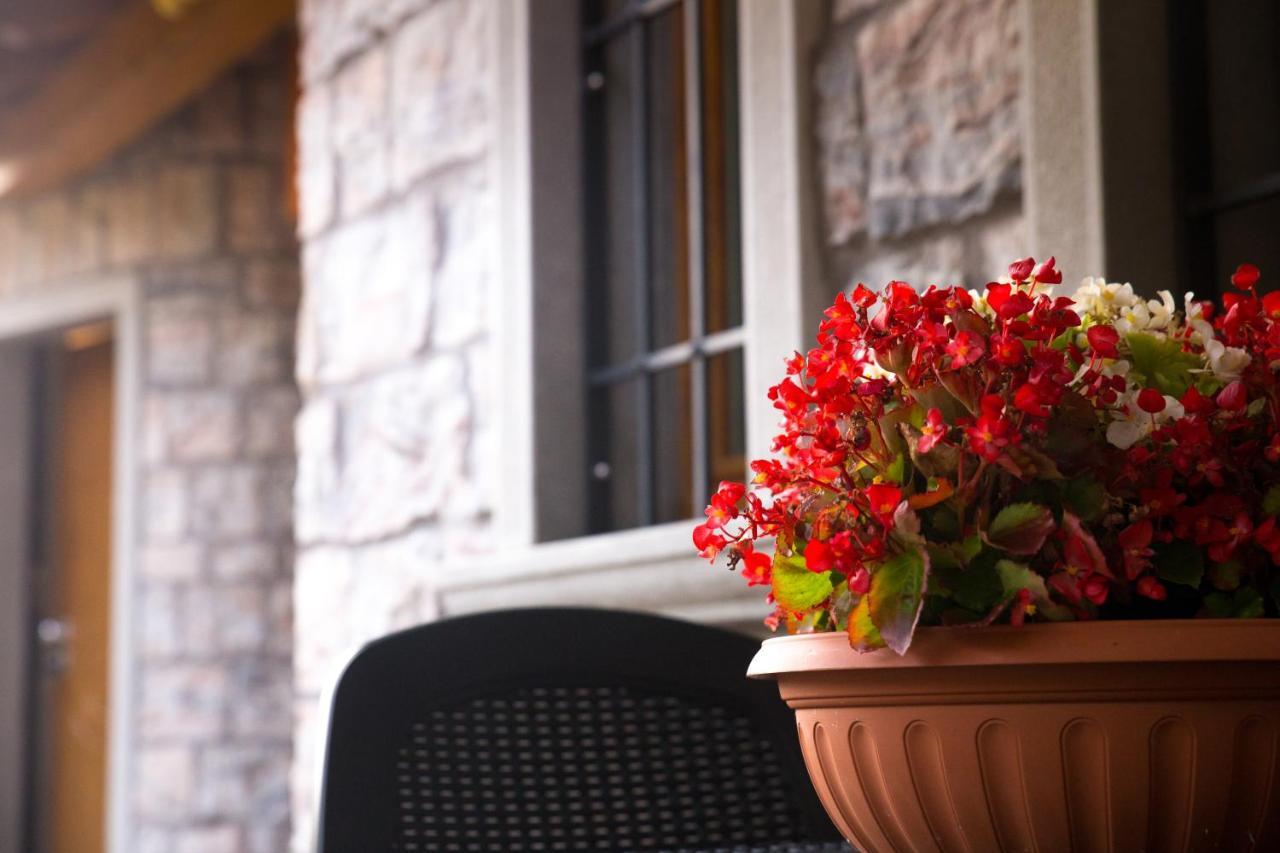 B&B San Pellegrino Terme Zogno Ngoại thất bức ảnh